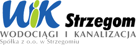 Strona główna